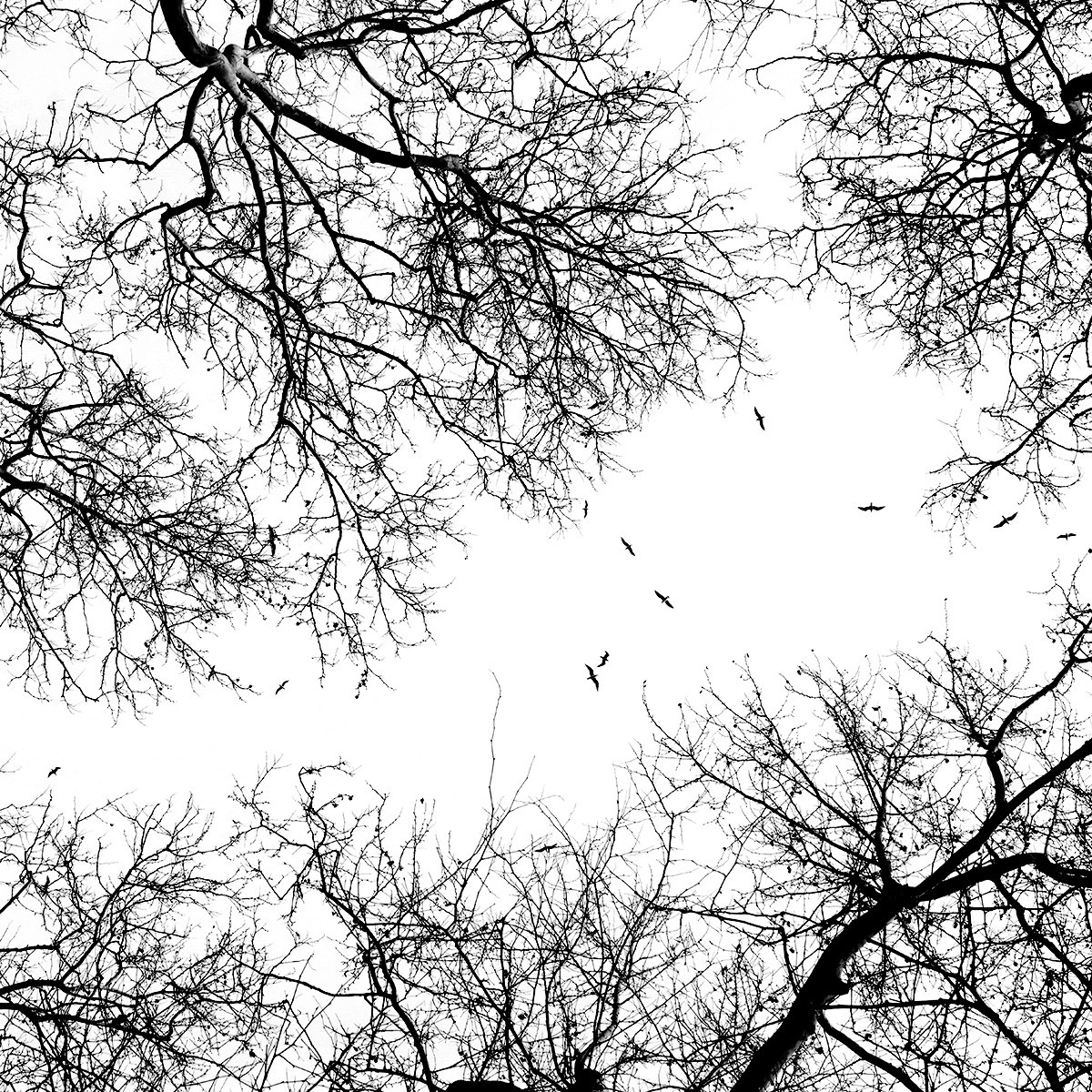 Landscape. Vasiliy Riabovol – Fine Art Photography | Zeit, Raum und Stille