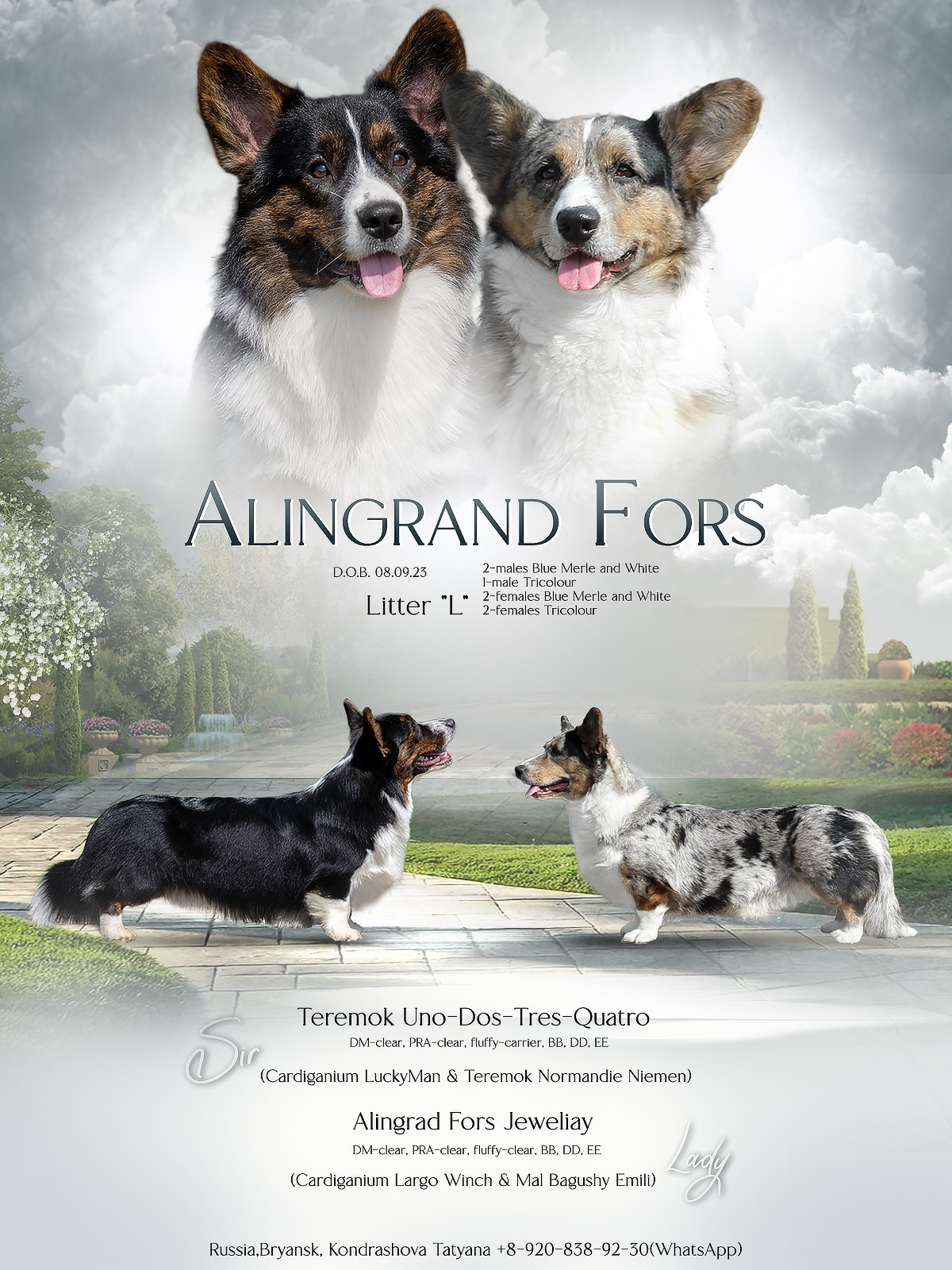 Презентации. Фотограф — анималист в Туле Юлия Лето