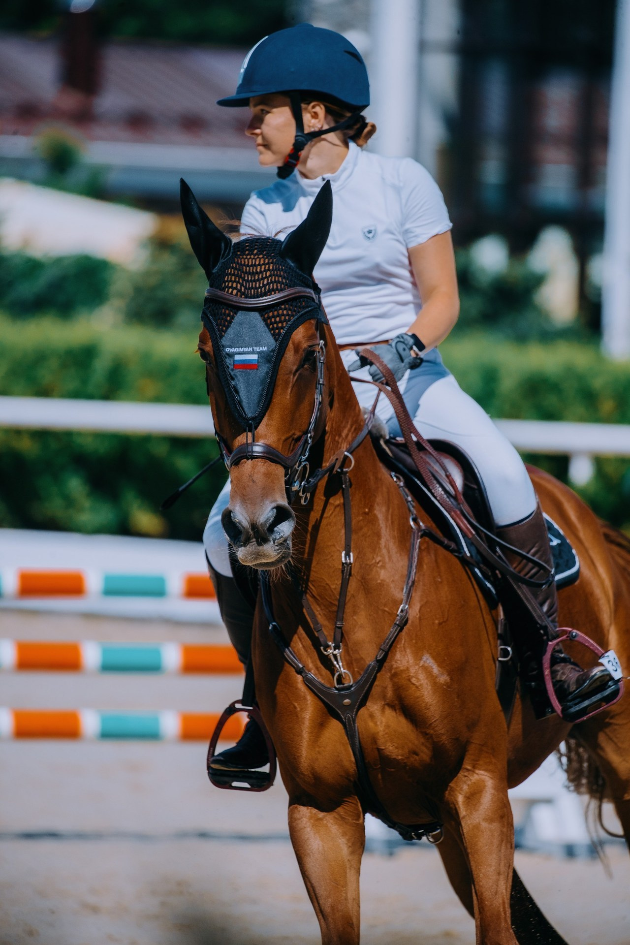 Отзывы. Фотограф-анималист Ксендзова Кристина