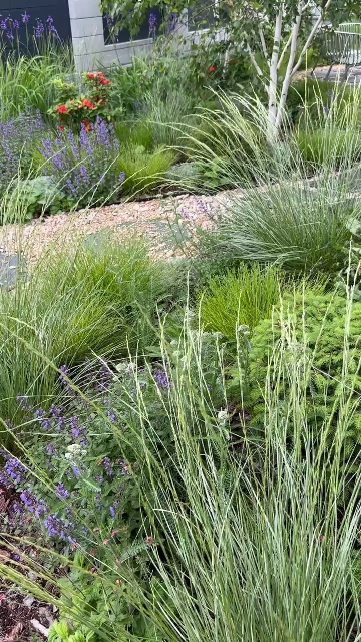 Участок в пейзажном силе. Дизайн интерьера, мебели и ландшафта на КМВ | OXY Design