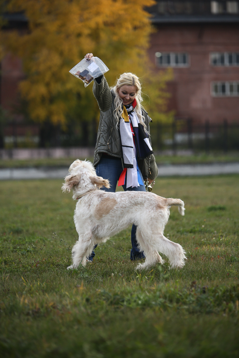 Фотосъемка на выставке. Фотограф в Новосибирске