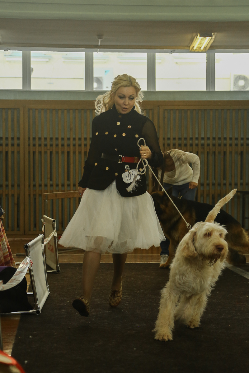 Фотосъемка на выставке. Фотограф в Новосибирске