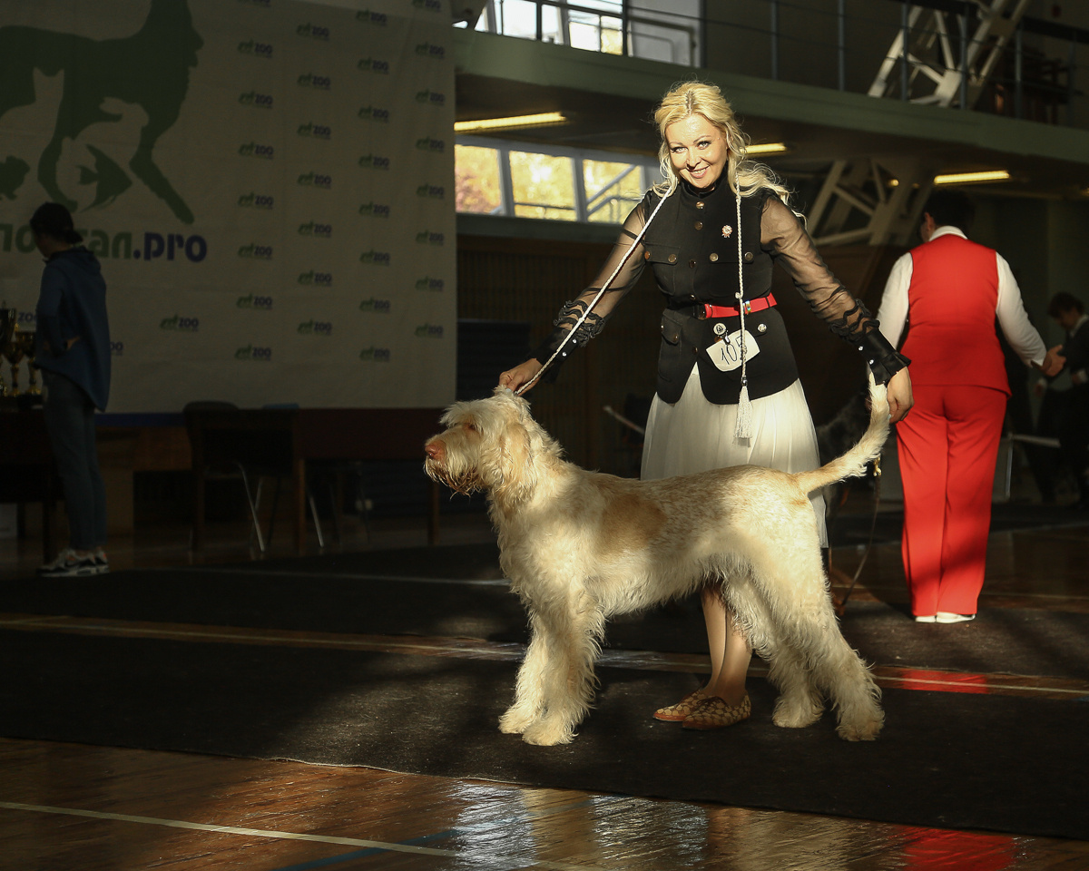 Фотосъемка на выставке. Фотограф в Новосибирске