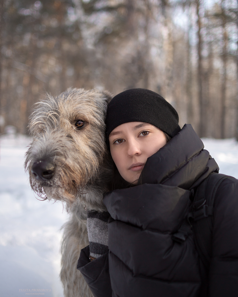 Фотосессия волкодавы. Фотограф в Новосибирске