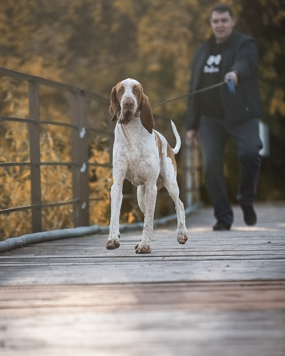 Фотосъемка с собакой. Фотограф в Новосибирске