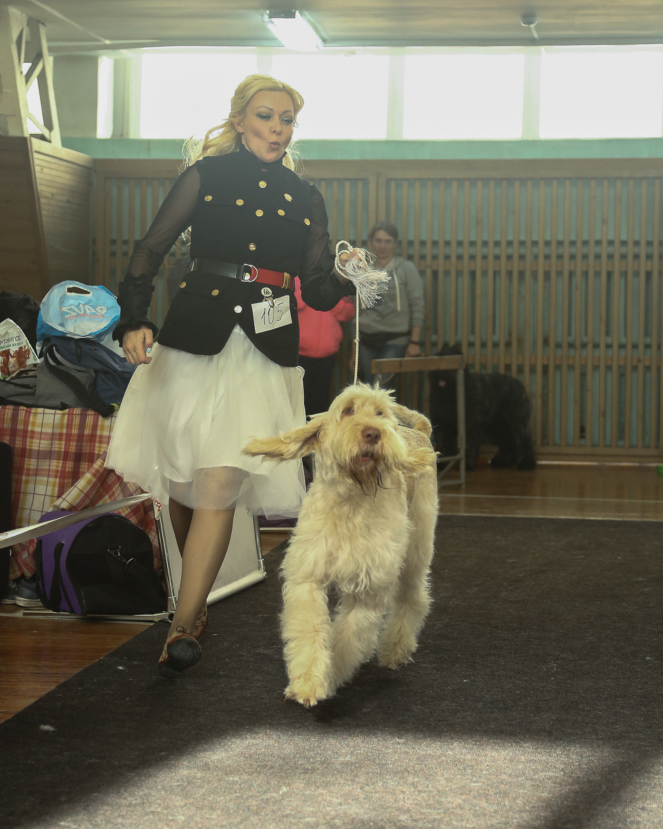 Фотосъемка на выставке. Фотограф в Новосибирске