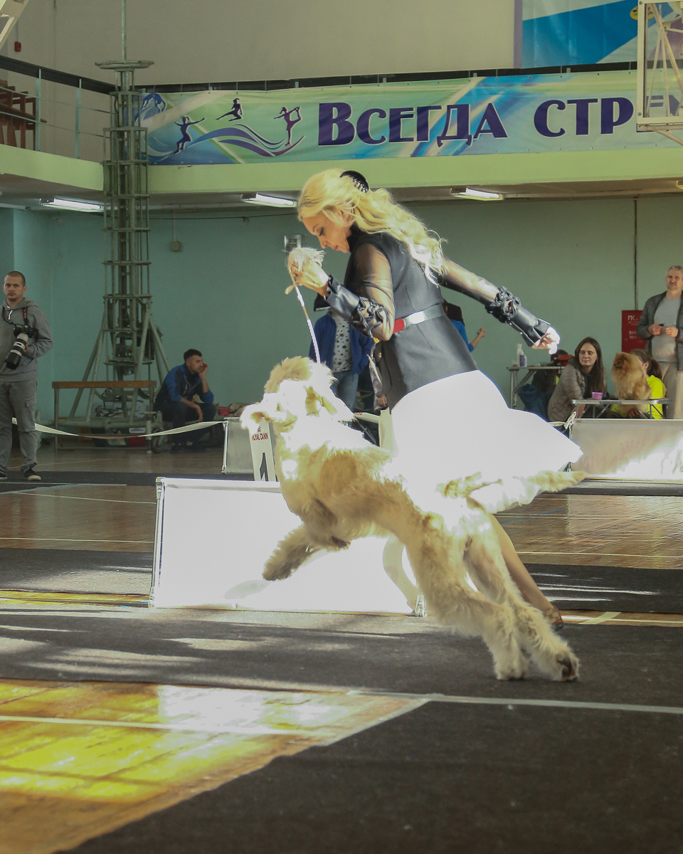 Фотосъемка на выставке. Фотограф в Новосибирске