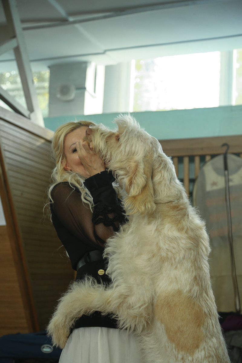 Фотосъемка на выставке. Фотограф в Новосибирске