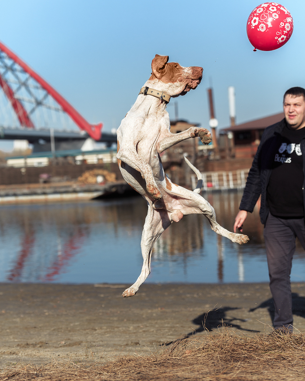 Фотосъемка с собакой. Фотограф в Новосибирске
