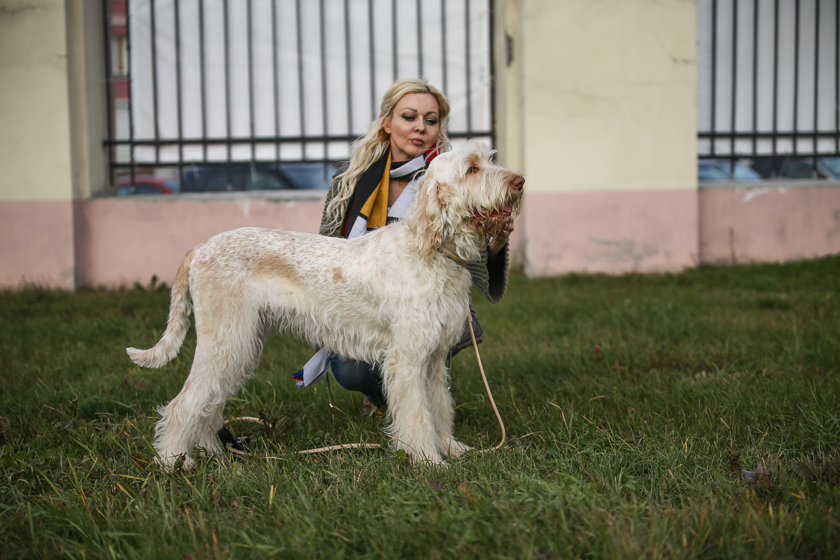Фотосъемка на выставке. Фотограф в Новосибирске