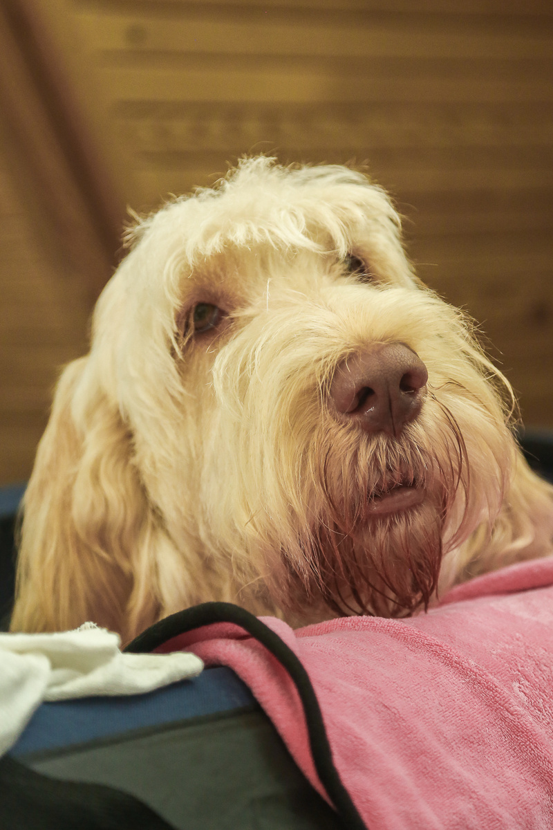 Фотосъемка на выставке. Фотограф в Новосибирске