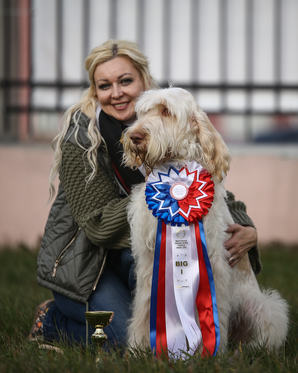 Фотосъемка на выставке. Фотограф в Новосибирске