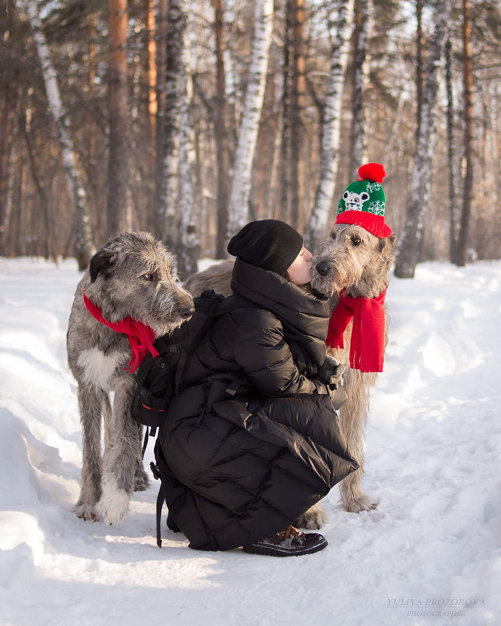 Фотосессия волкодавы. Фотограф в Новосибирске