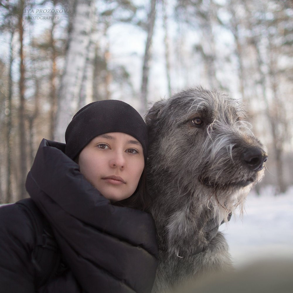 Фотосессия волкодавы. Фотограф в Новосибирске