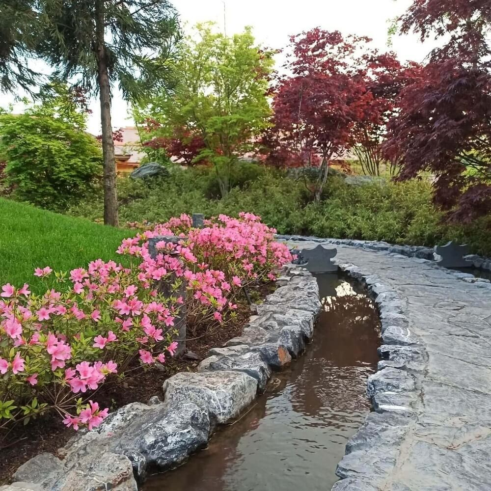 КРАСНОДАР. Свадебный и семейный фотограф/видеограф в Краснодаре Наталья Осинская