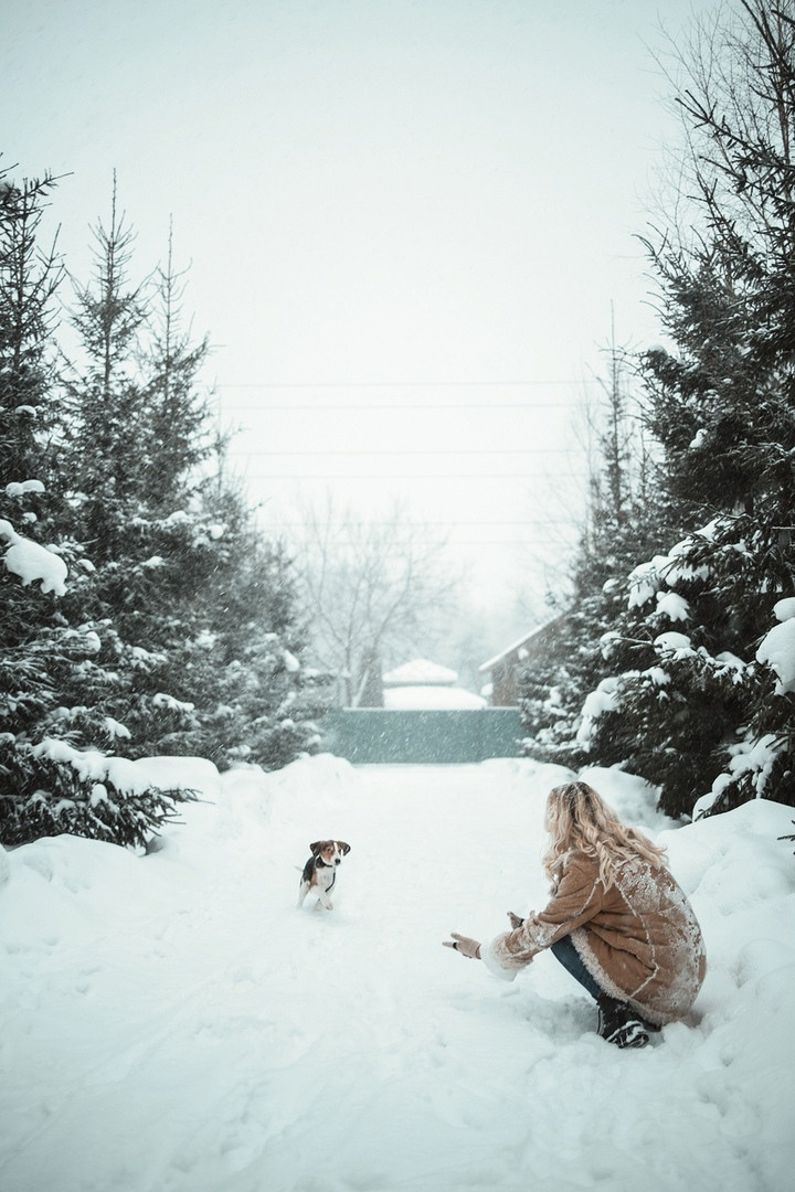 Новогодняя фотосессия с любимым питомцем. Семейный, индивидуальный фотограф в Москве Ангели Марина