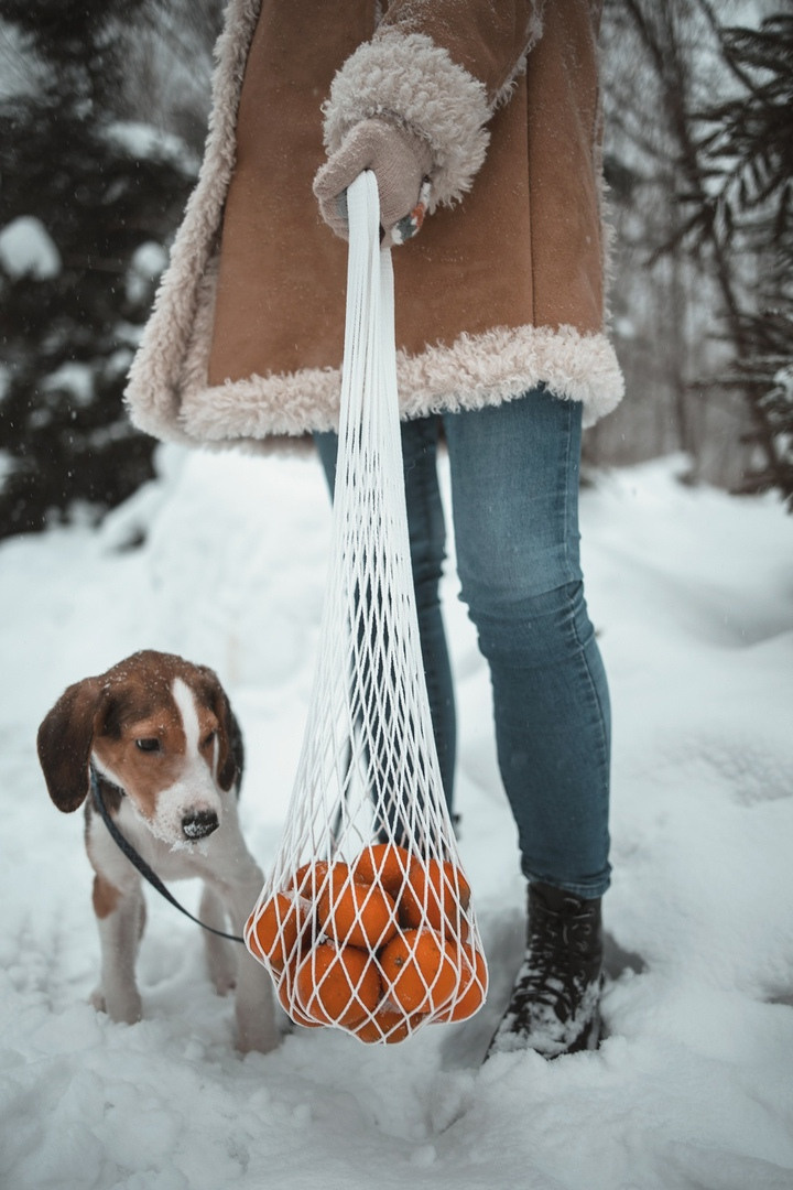 Новогодняя фотосессия с любимым питомцем. Семейный, индивидуальный фотограф в Москве Ангели Марина