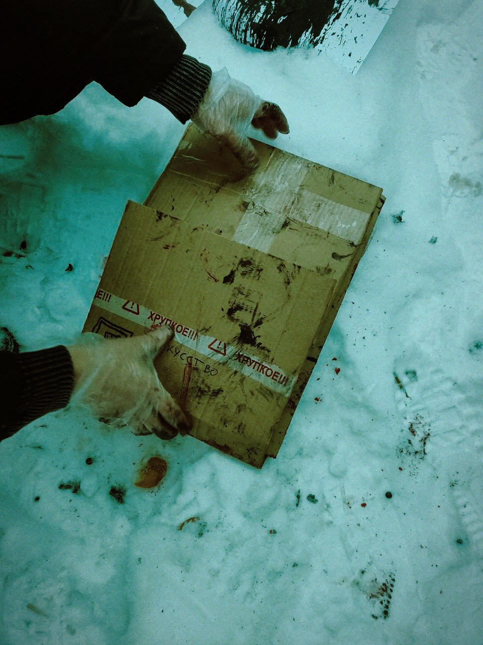 Fluxus Camera. Роман Ходырев — художник, фотограф, музыкант, эзотериолог. Санкт-Петербург, Рига