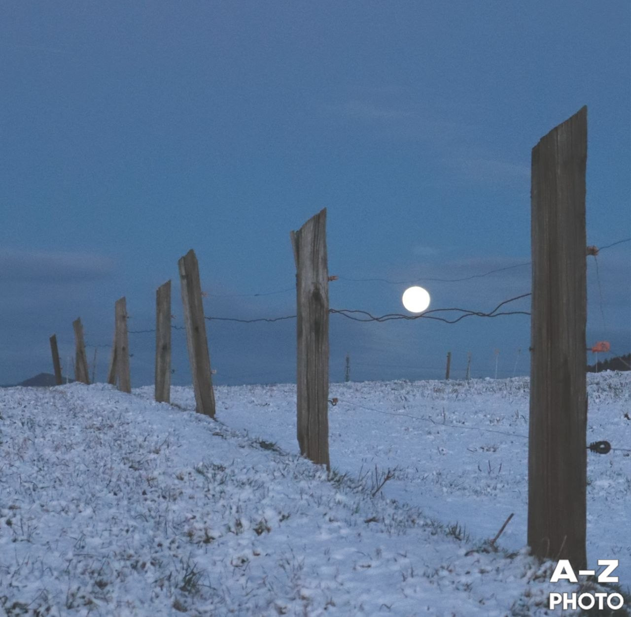 #ФОТОНЕДЕЛИ 19.01.2026. Женский семейный фотограф Тула Москва Захарова Анна