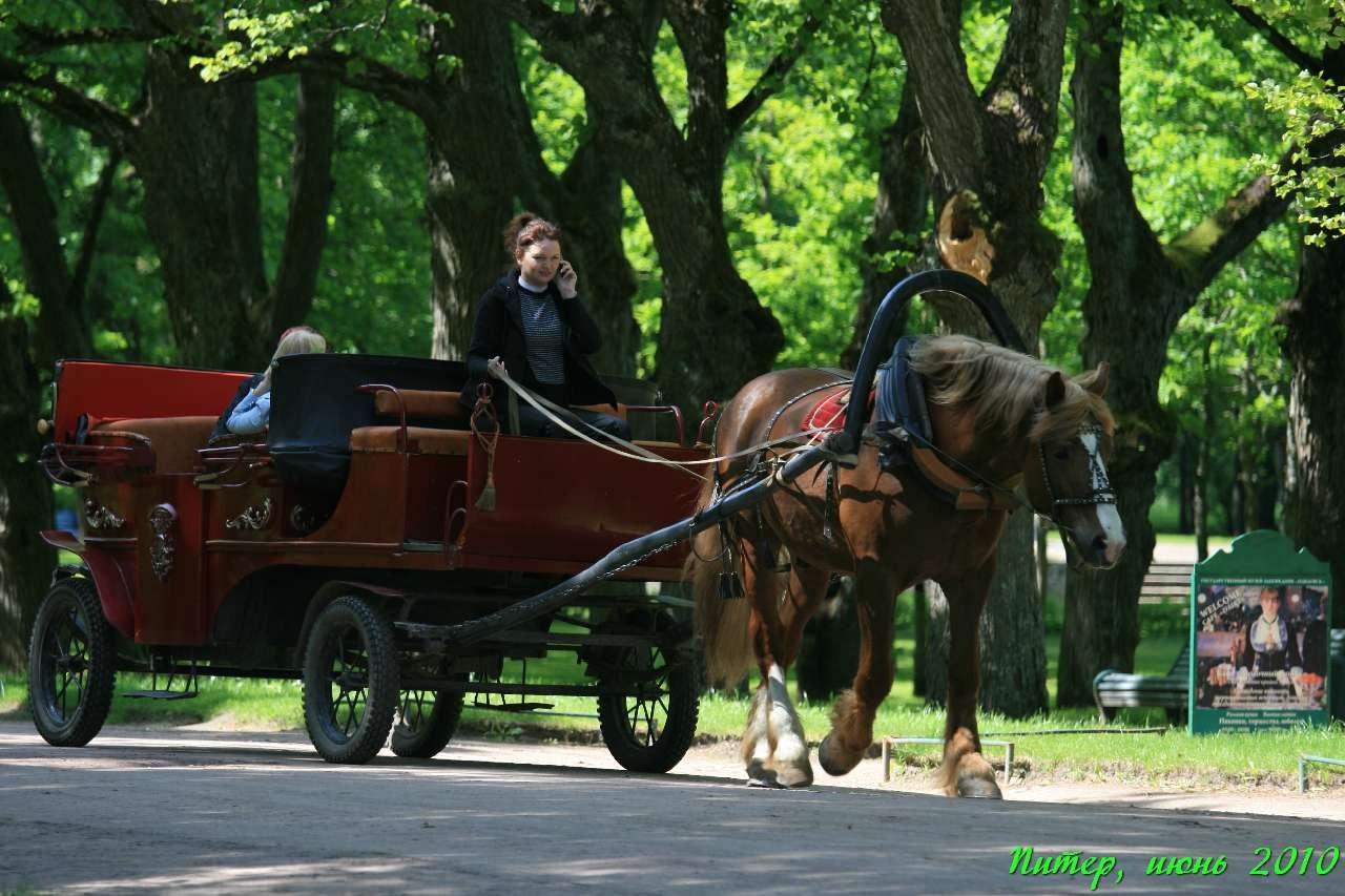 Питер 2010 г. Улица, люди, жизнь…