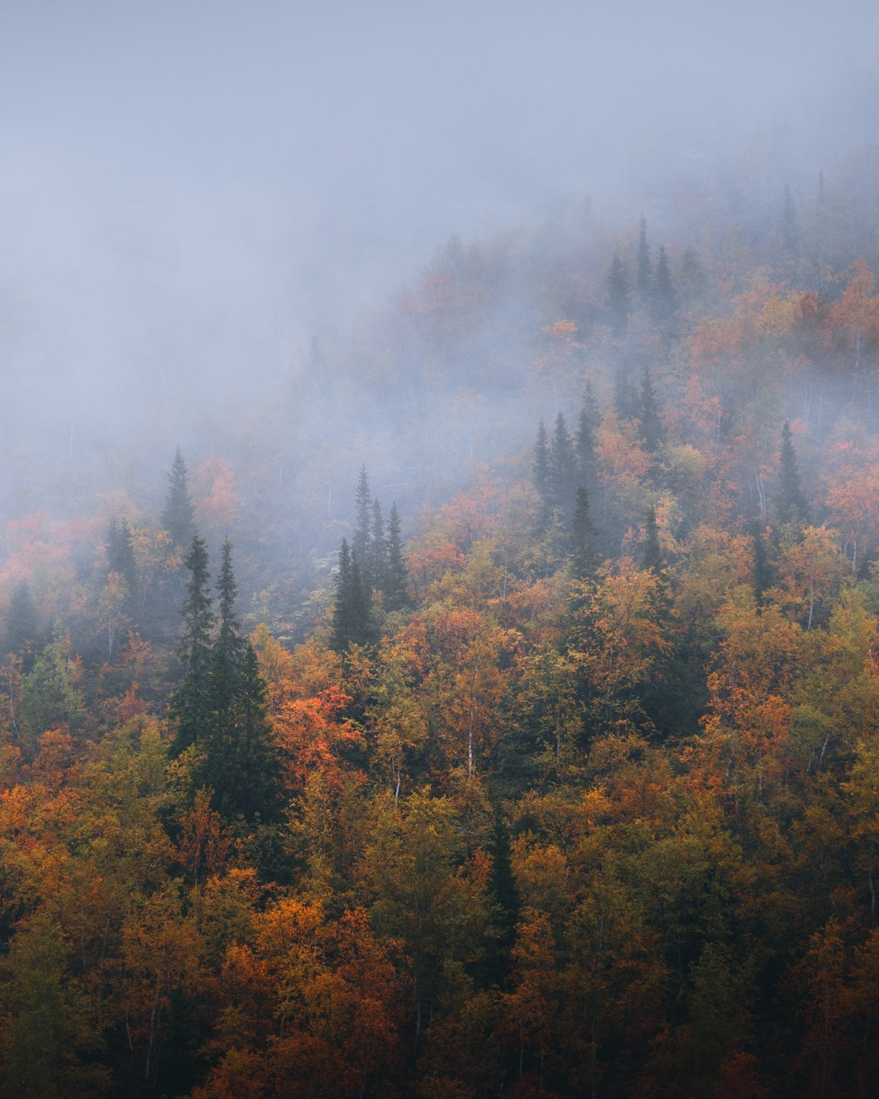 ХИБИНЫ. Пейзажный и тревел-фотограф Алексей Соколенко