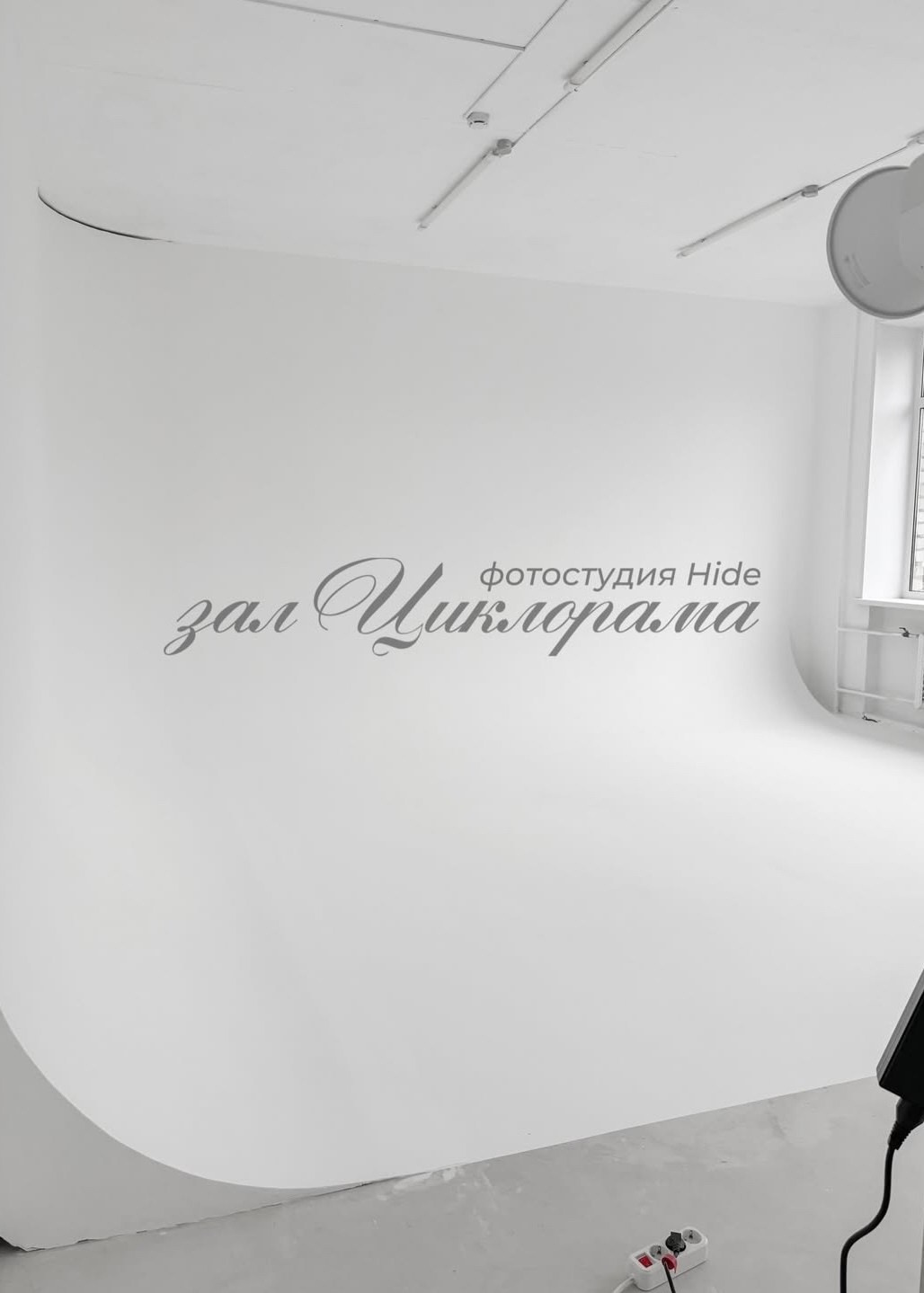 Фотостудии в Орле весна — лето 2026. Свадебный и портретный фотограф в Орле и Москве Диана Ларичева