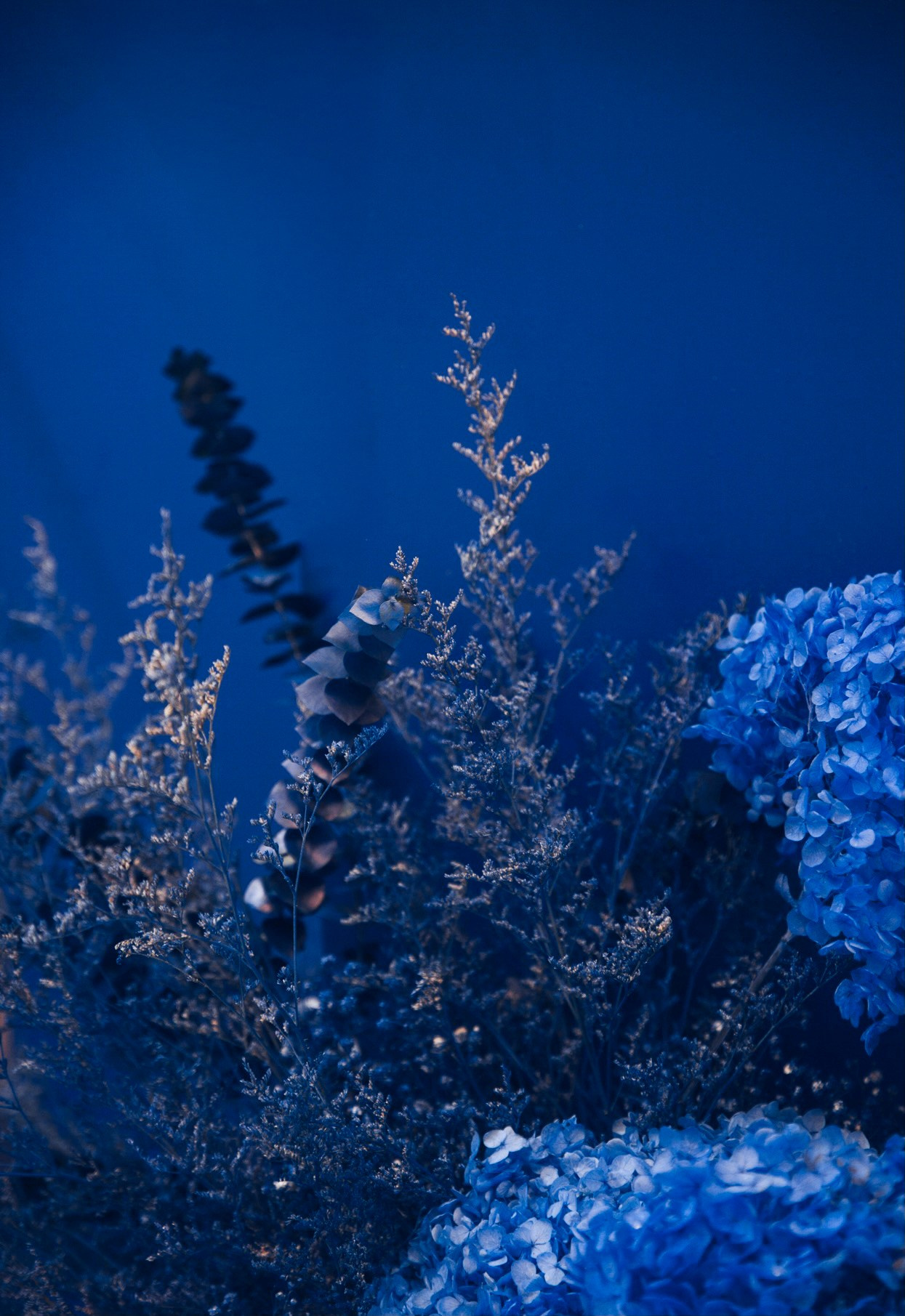 5 лет пространству Посольства красоты 2022. Ксения Почтарь. Декоратор и флорист, город Владивосток