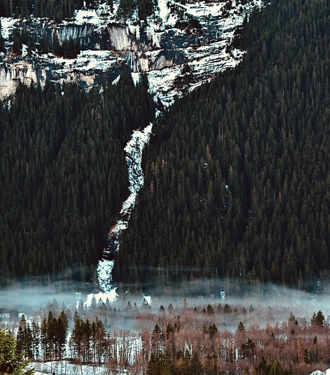 Grindelwald. Фотограф в Москве