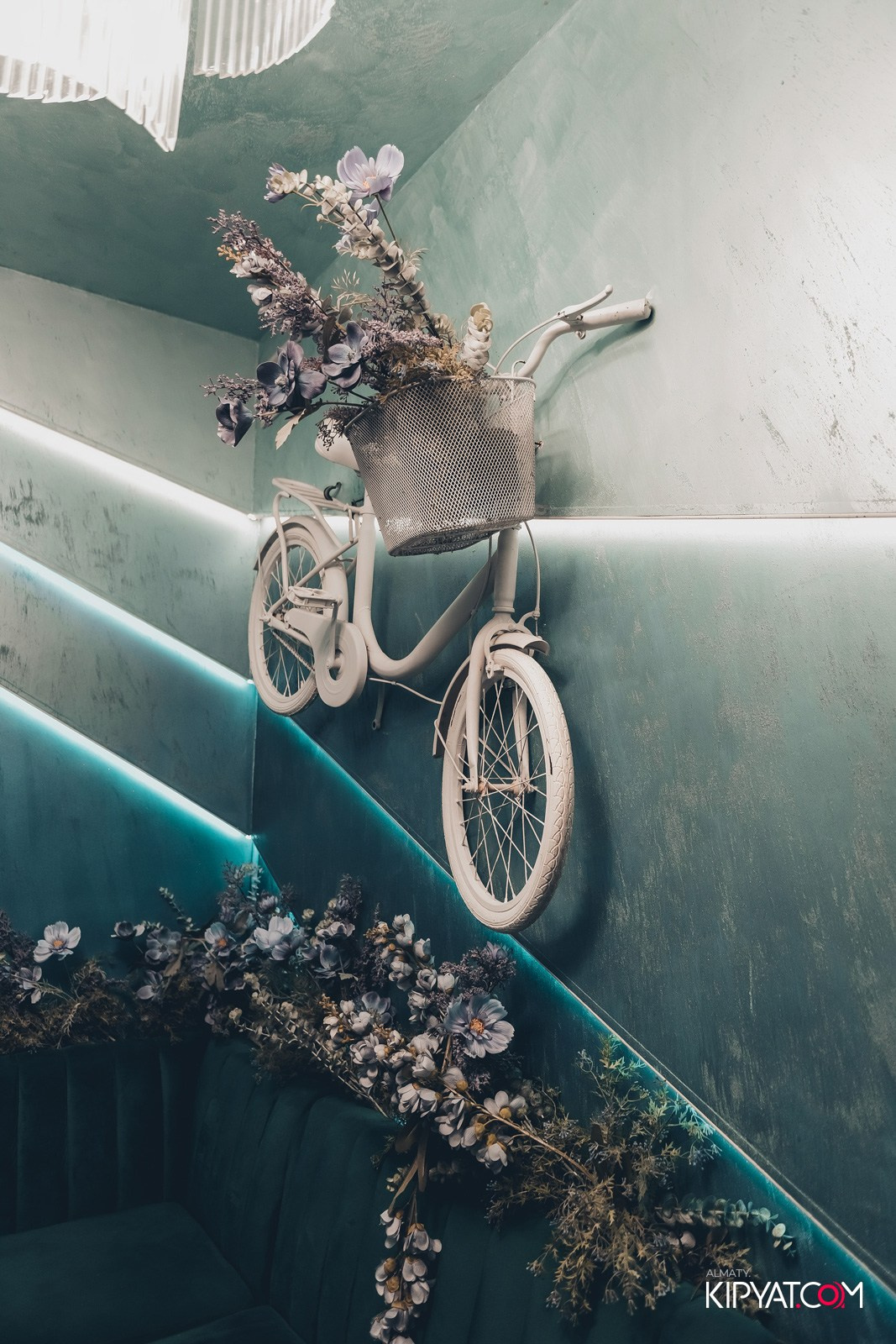 УХО И МЕДВЕДЬ НА САИНА. КИПЯТКОМ АЛМАТЫ!