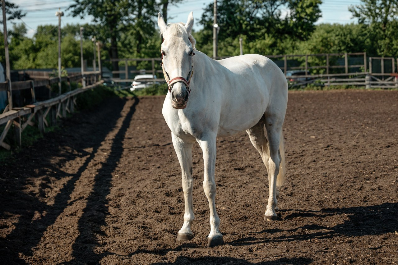 Отзывы. Ваш фотограф в Москве и области Юлия