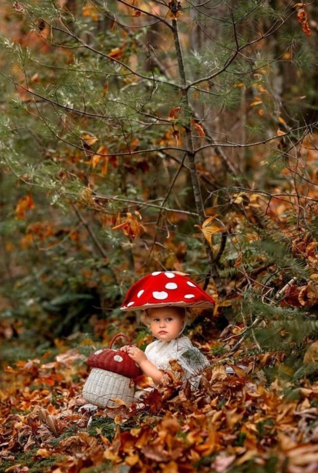 Идеи для осенней фотосессии в Санкт-Петербурге. Фотограф в Санкт-Петербурге, Анна Скворцова