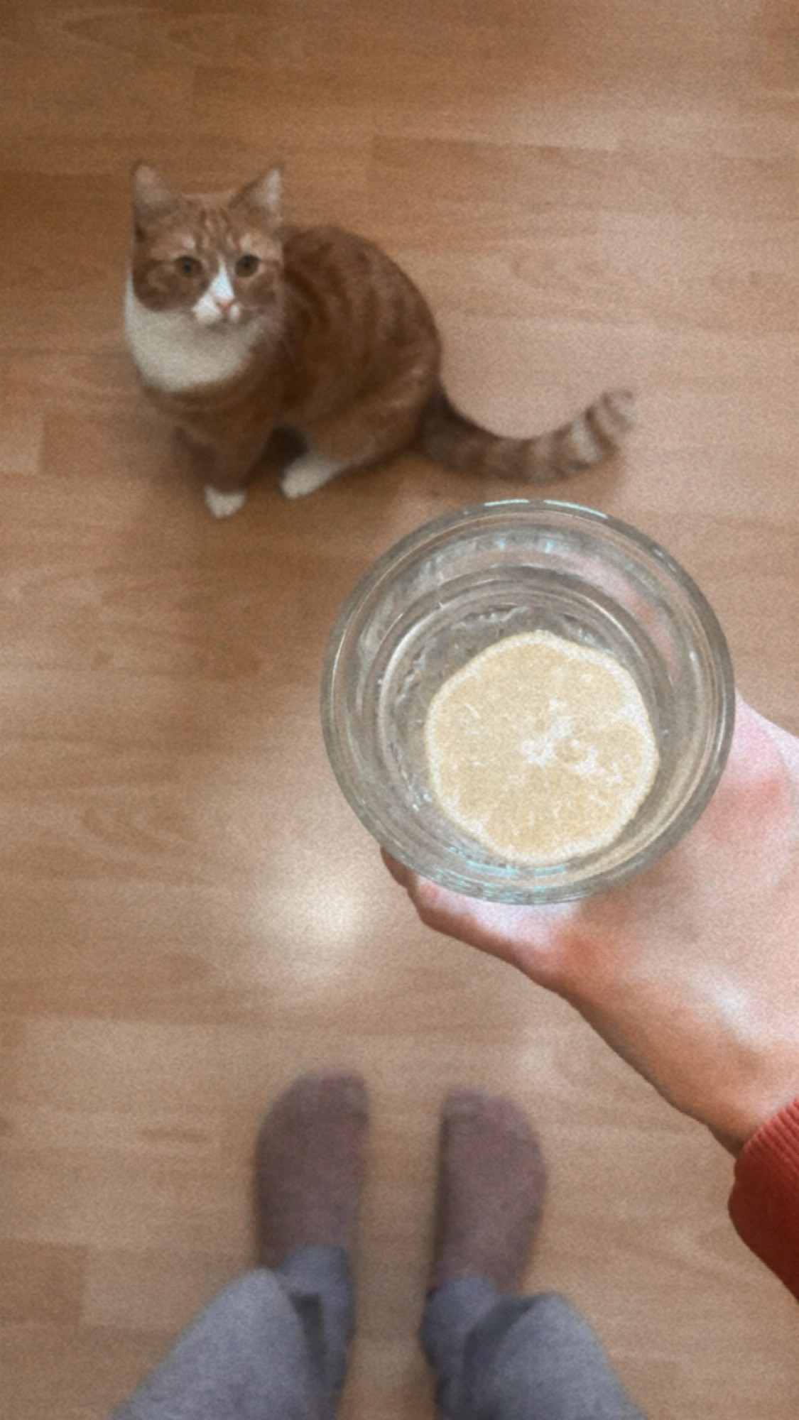 Ноябрь. Семейный, Свадебный фотограф СПБ Питер— Романова Екатерина