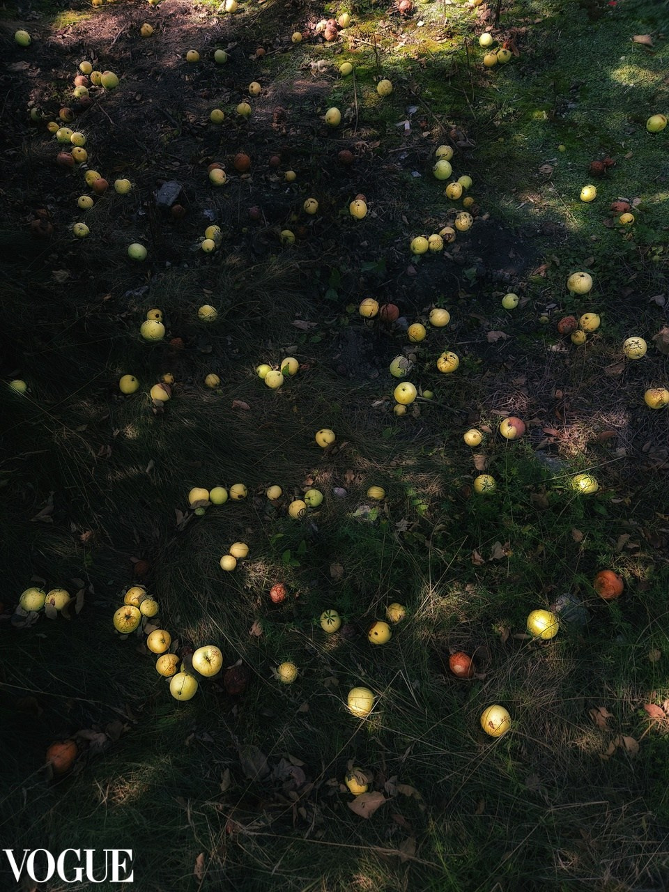 Photovogue. Tatyana Mazok creative photographer in Minsk