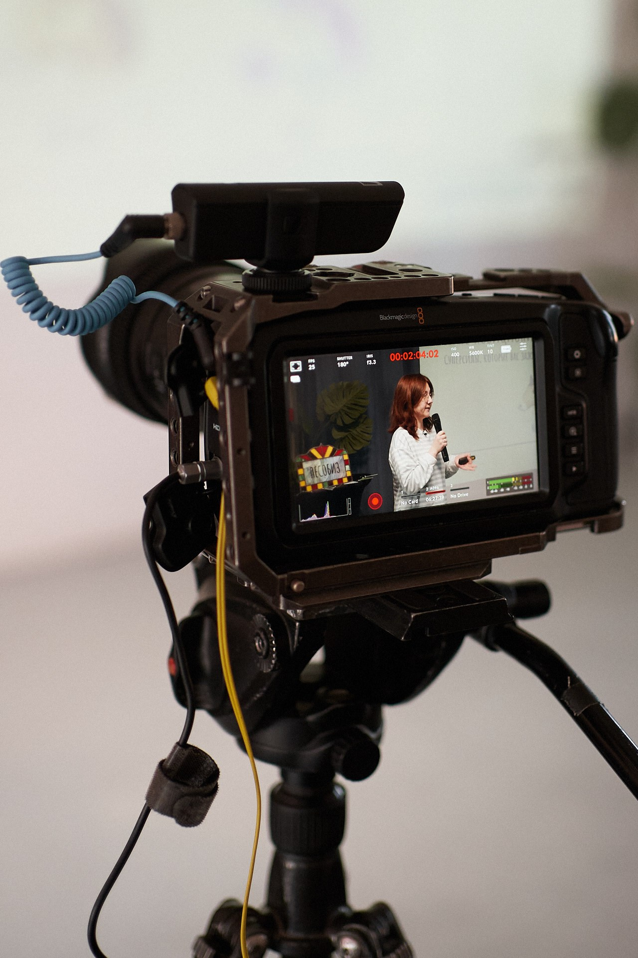 Пёсобиз. Фотограф анималист Москва Дарья