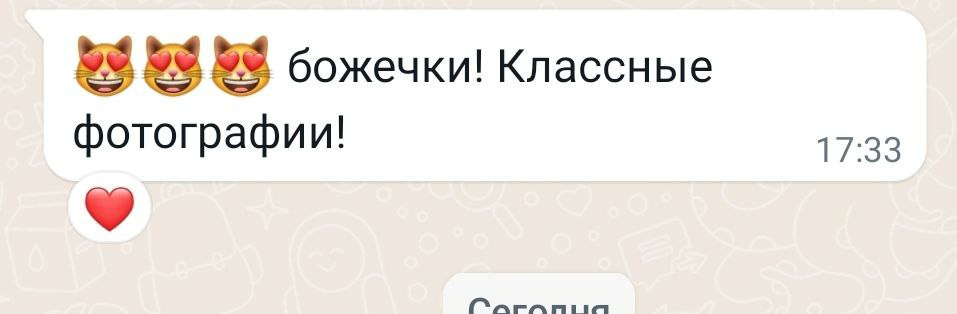 Newborn. ФОТОСТИЛЬ, изготовление рекламной продукции в Приморско-Ахтарске