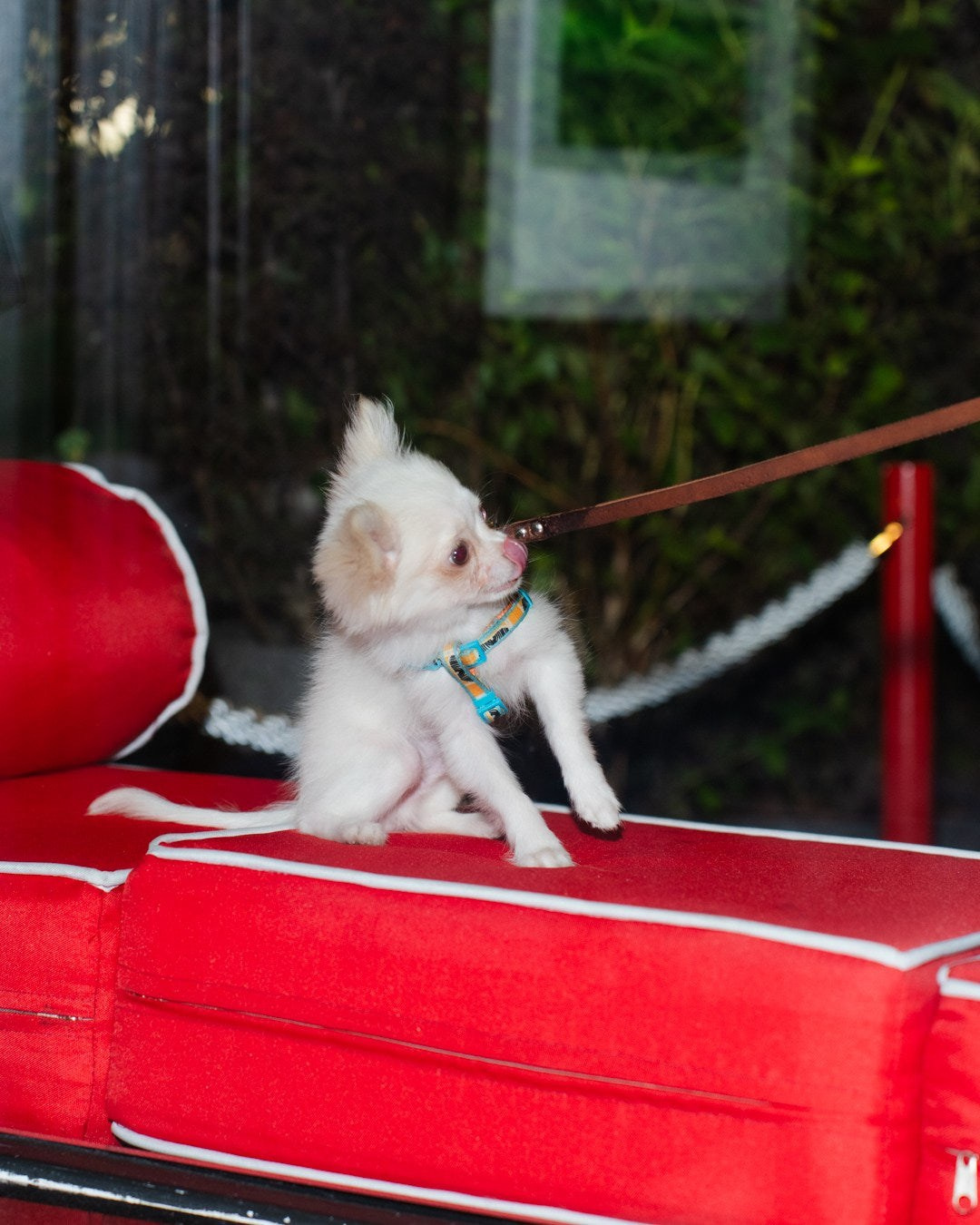 Бар Клава. Axenov_eugene