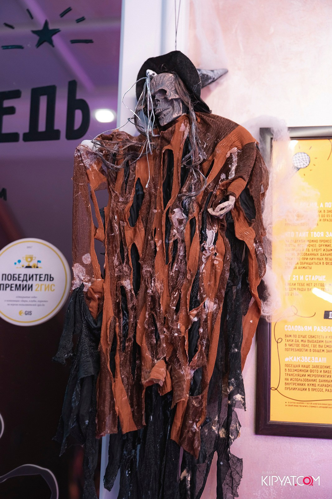 УХО И МЕДВЕДЬ НА КУРМАНГАЗЫ. КИПЯТКОМ АЛМАТЫ!