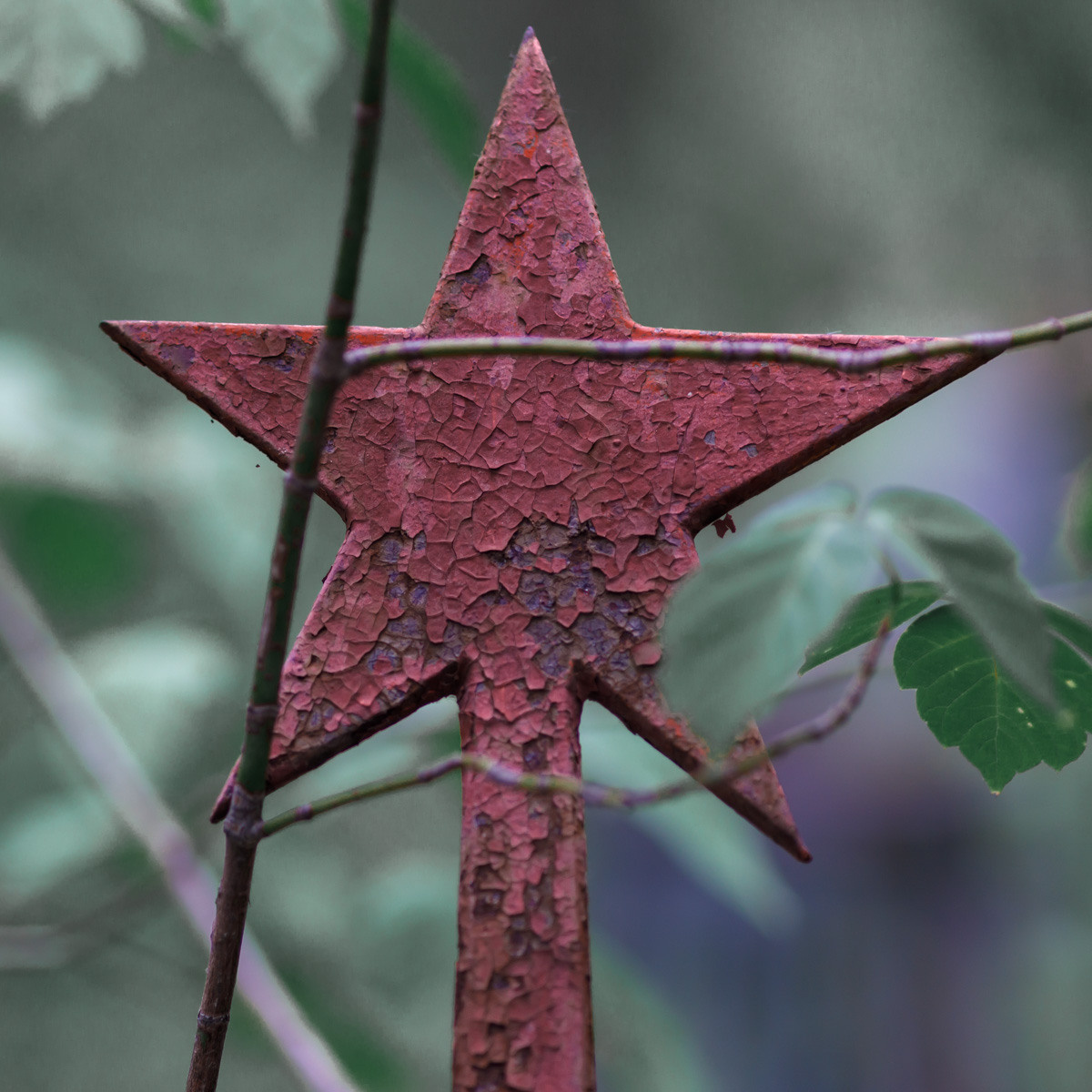 Концептуальное. Фотограф в городе Каменск-Уральский — Метелёв Андрей