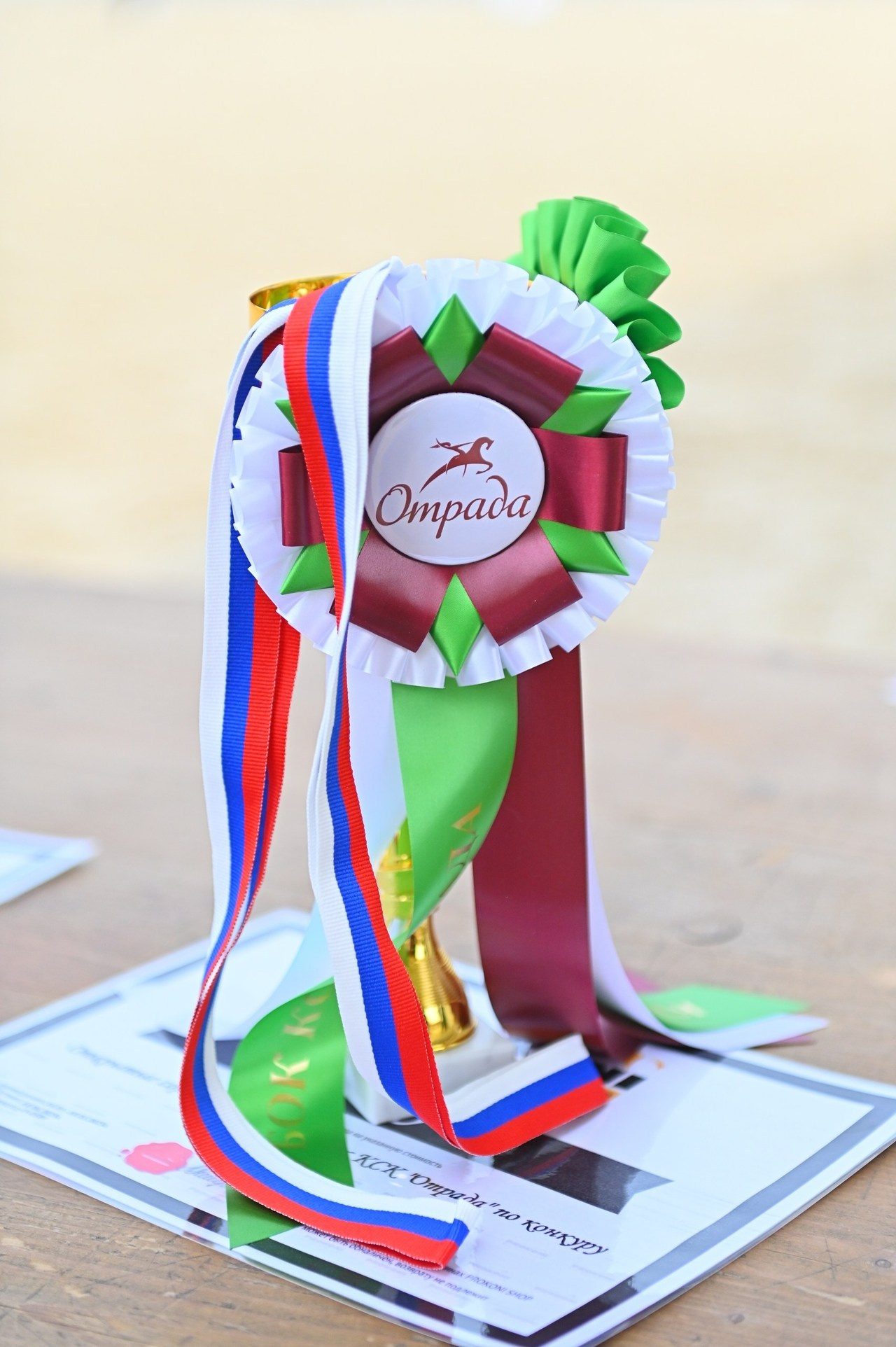 Отзывы. ТУРНИРНАЯ КОННАЯ ФОТОГРАФИЯ, Руднева Ольга и Евгений Адеев