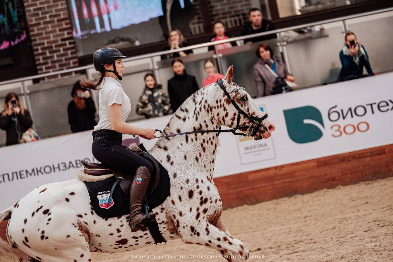 КОННАЯ ВЕСНА 2025. Куракина Дарья • Конный фотограф
