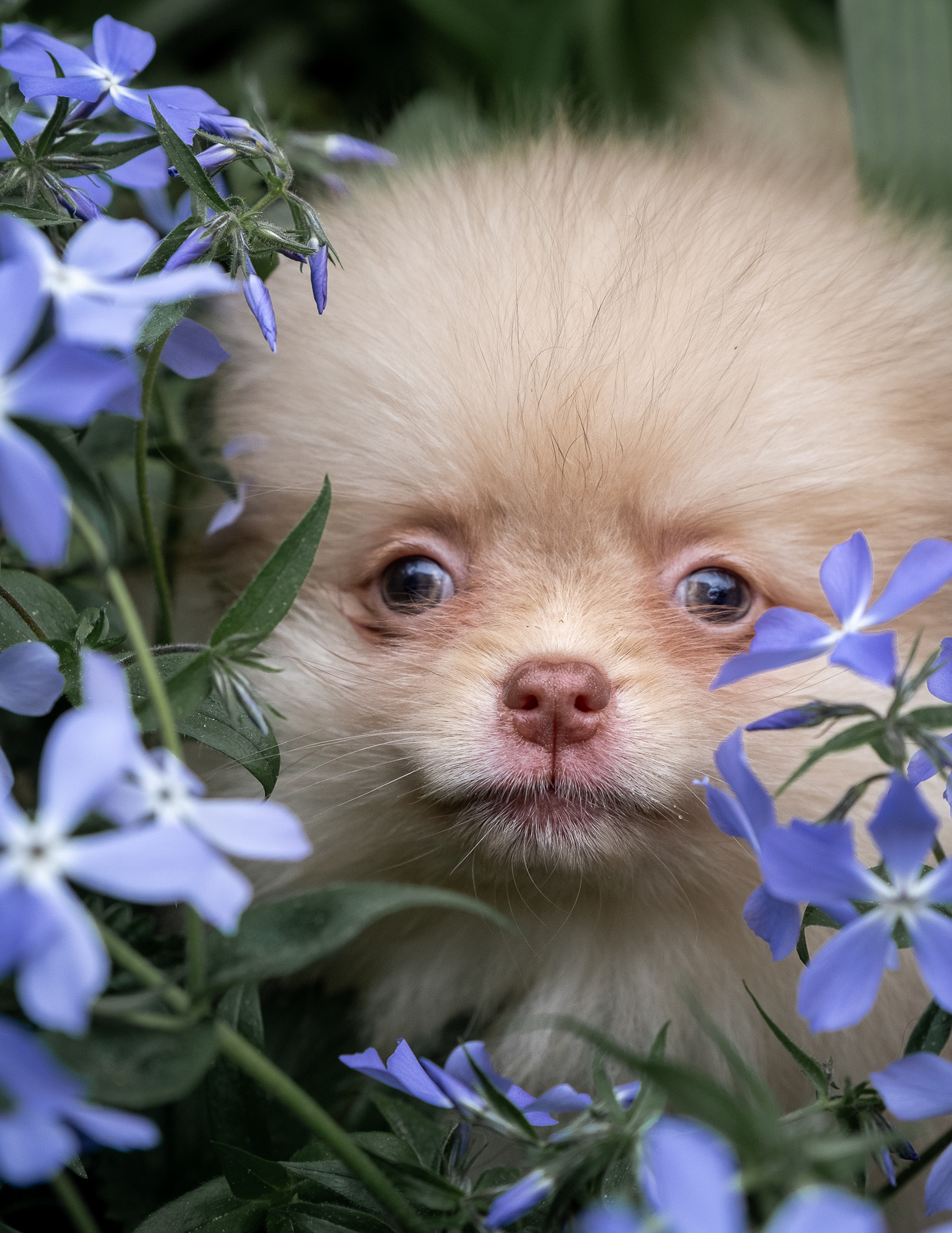 Отзывы о работе | Светлана Потемкина. Семейный и детский фотограф в Москве Светлана Потемкина