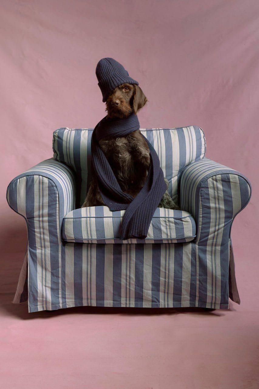 Для брендов. Главная