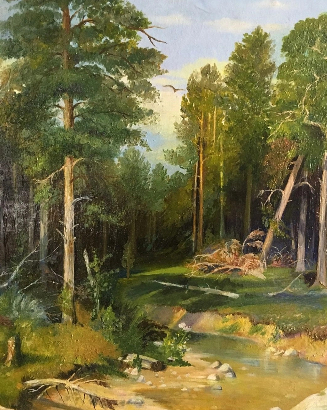 Живопись. Фотограф в Санкт-Петербурге