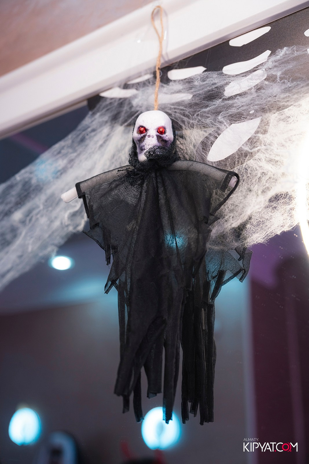 УХО И МЕДВЕДЬ НА КУРМАНГАЗЫ. КИПЯТКОМ АЛМАТЫ!