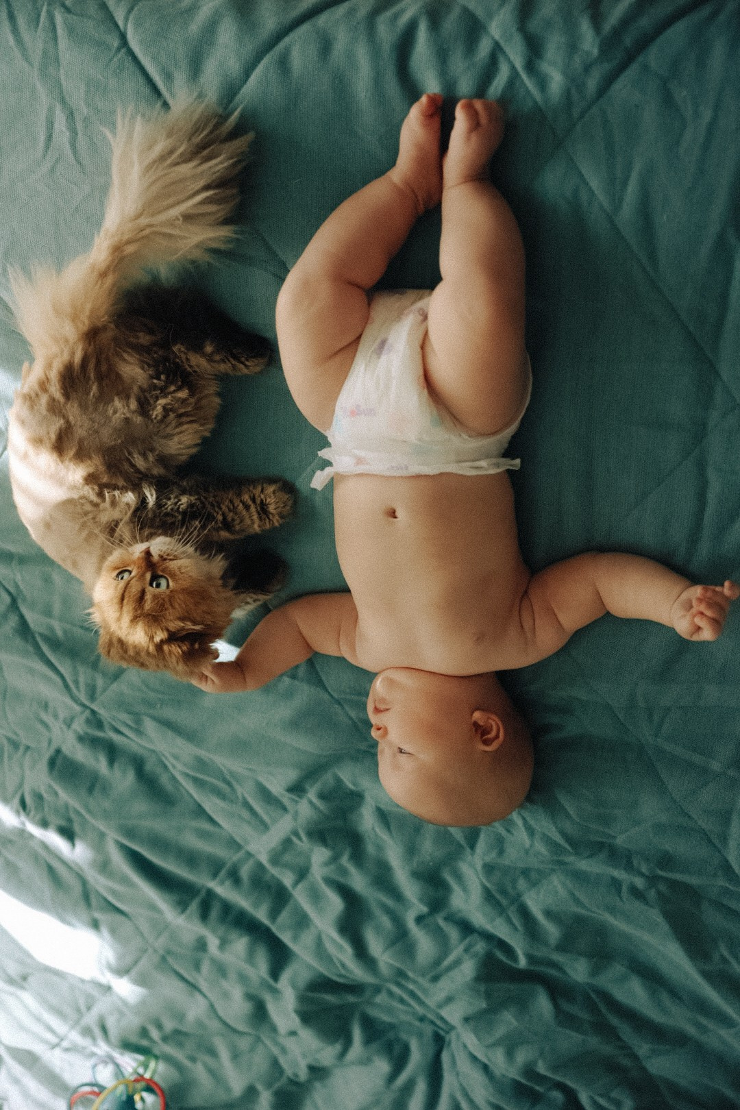 Family. Фотограф Нижний Новгород
