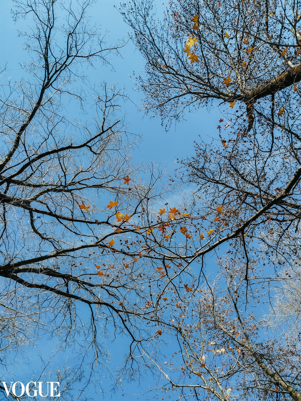 Публикация. Фотограф в Сочи Марина Барс