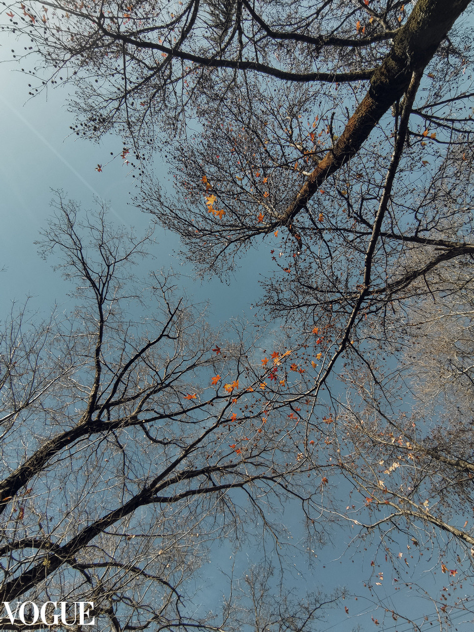 Публикация. Фотограф в Сочи Марина Барс