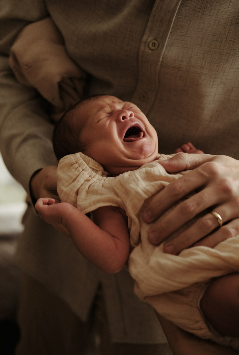 Family. Главная