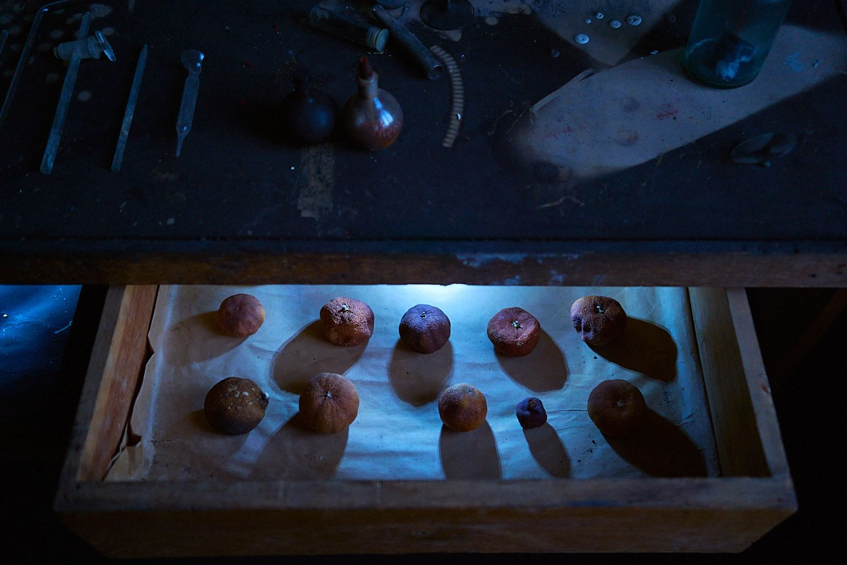 Фрагменты. Болотная Биеннале 2024. Иван Кобяков