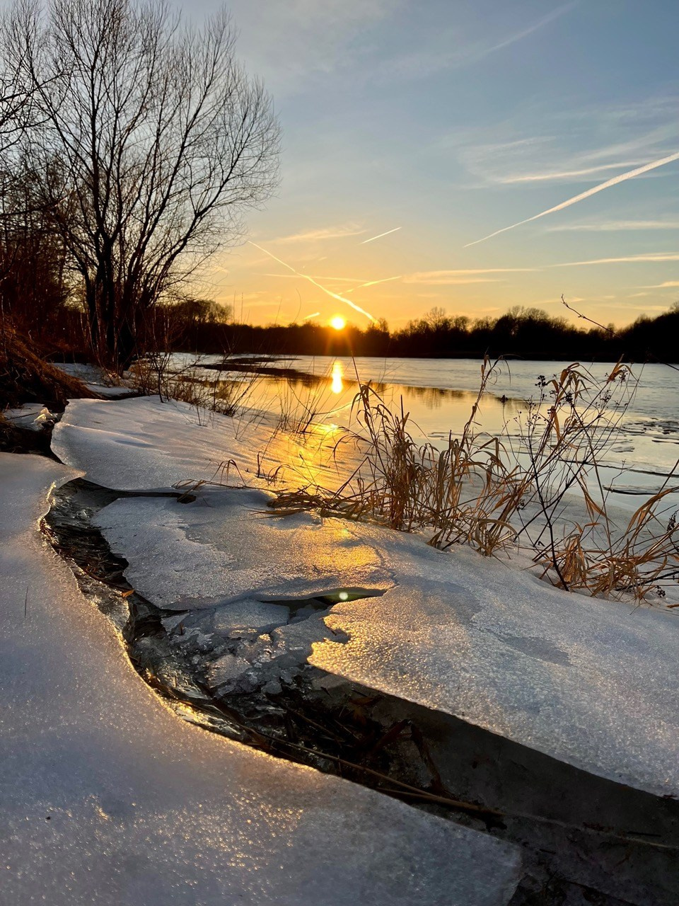 Дыхание весны, Природа, Мария Кочурова, Москва